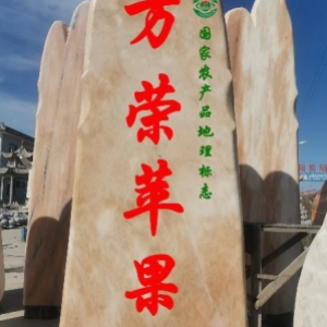 万荣苹果