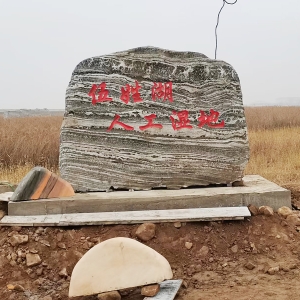 永济伍姓湖花纹石2.7-2.1-0.6