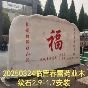 临晋春蕾药业2.9-1.7木纹石长城安装（背面）