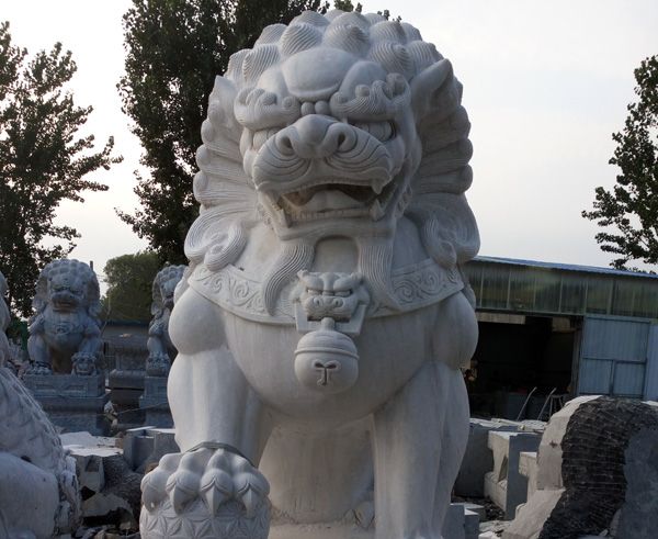 动物像